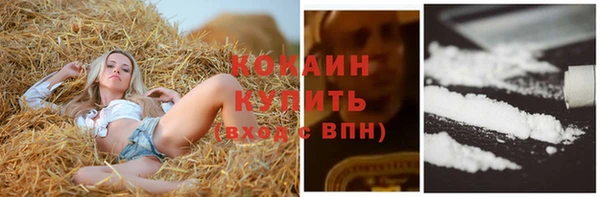 шишки Кукмор